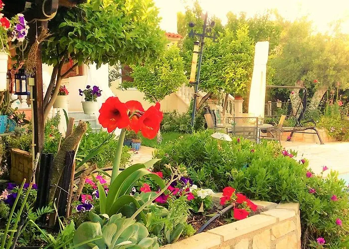 Jacuzzi Pool House Ama5690 *