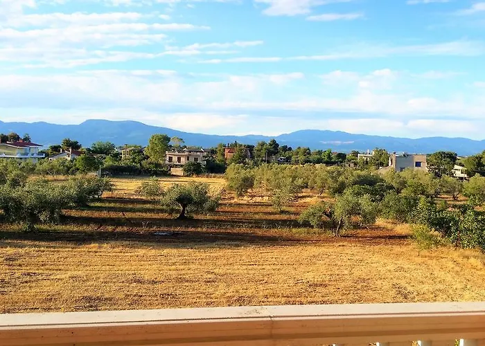 Jacuzzi Pool House Ama5690